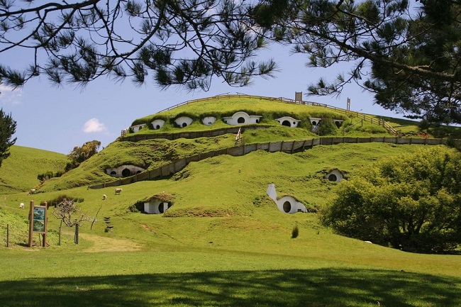 Matamata: New Zealand’s Hidden Gem and Gateway to Middle-Earth