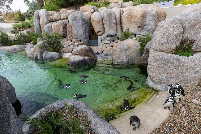 Best Zoos in The World To Explore