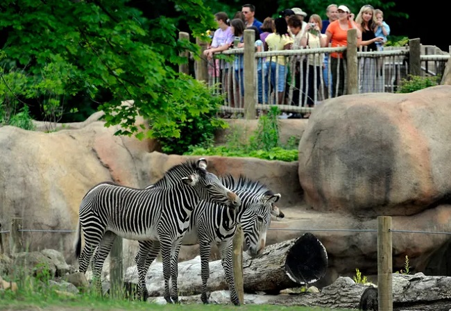 Best Zoos on The East Coast