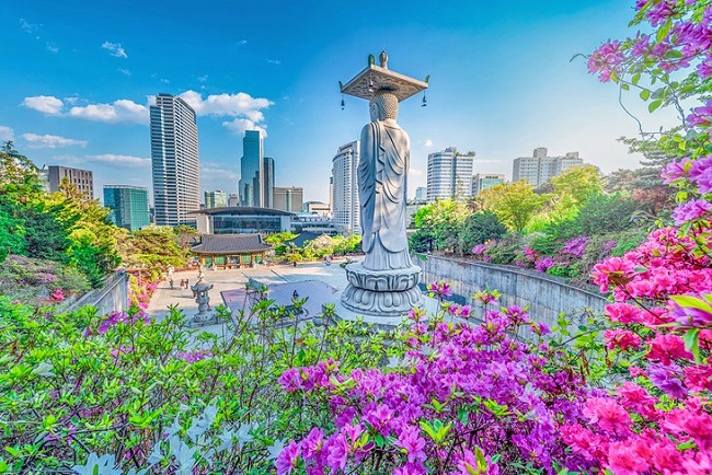 Places To Visit in Korea