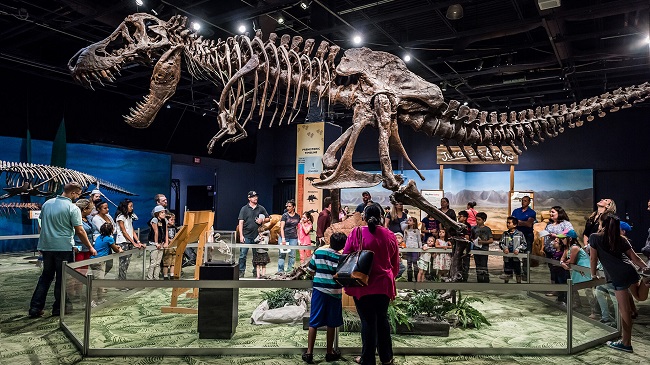 Top 10 ‘Museums Orlando’ To Visit