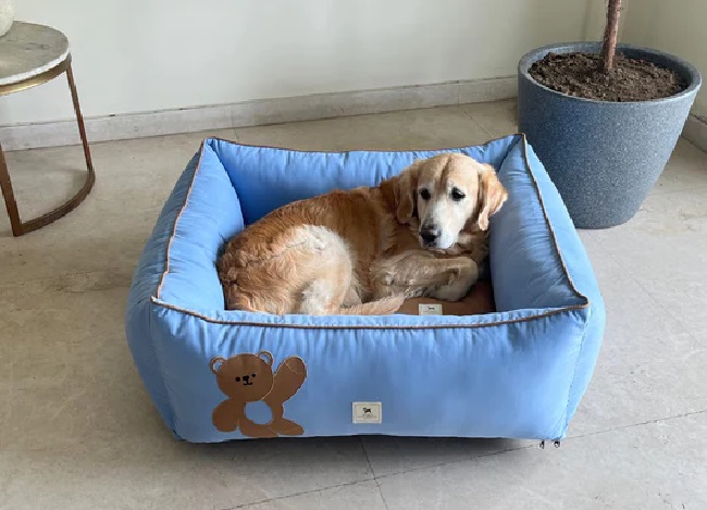 Top 10 ‘Travel Dog Bed’ For Your Dog Comfort